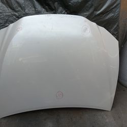 2019 2020 2021 Lexus Es Es350 Hood