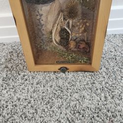 Nature Apothecary Shadowbox 