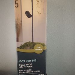 Dual light pole
