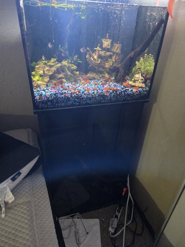 40gal tank and stand