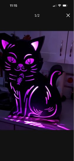 New light up cat