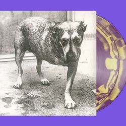 ALICE IN CHAINS ~ 30th Anniversary Ltd Ed Opaque Orchid/Canary Yellow 2LP Vinyl