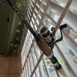 Mitchell Avocet Fresh Water Fishing Pole - Used 