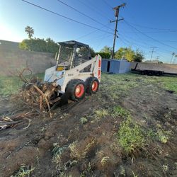 Bobcat Steer 