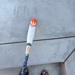 Easton Mako Baseball Bat