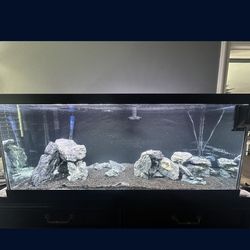 Aquarium Fish Tank 