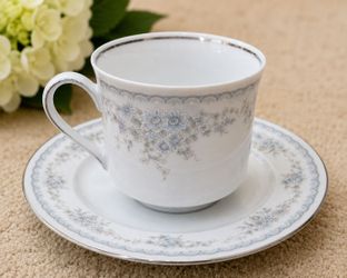 Vintage Johann Haviland Bavaria Germany Cup & Saucer – Gray Blue Floral