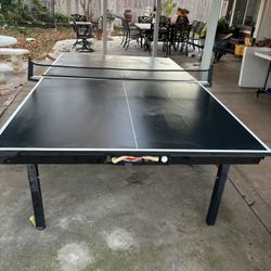 Ping Pong Table 