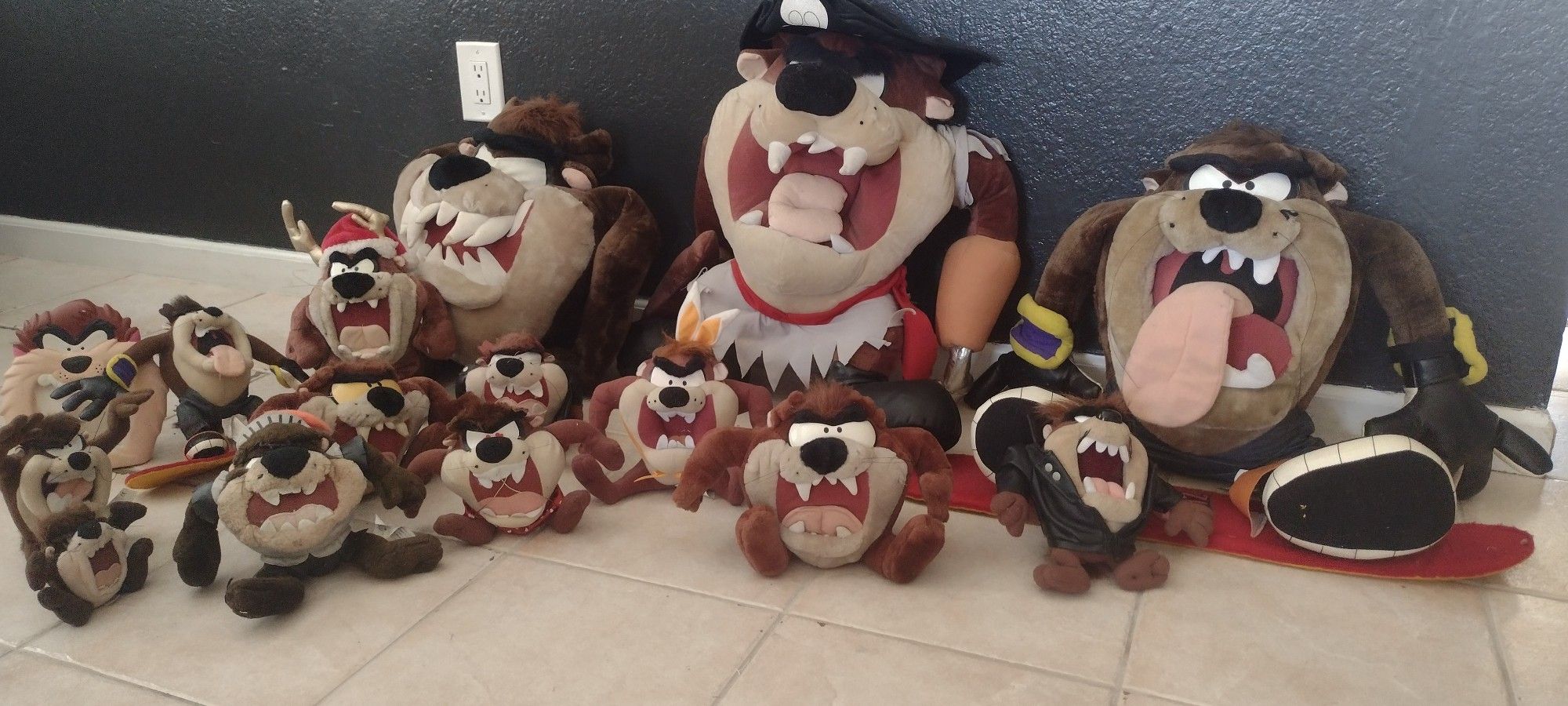 Tazmania