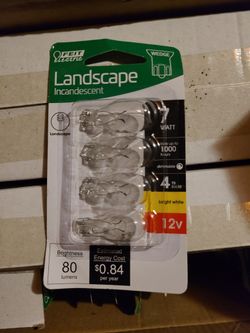 Low voltage  landscape light bulbs