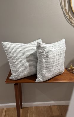 Set of Two Decorative Down Pillows. 