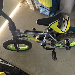 Toddler Bike 