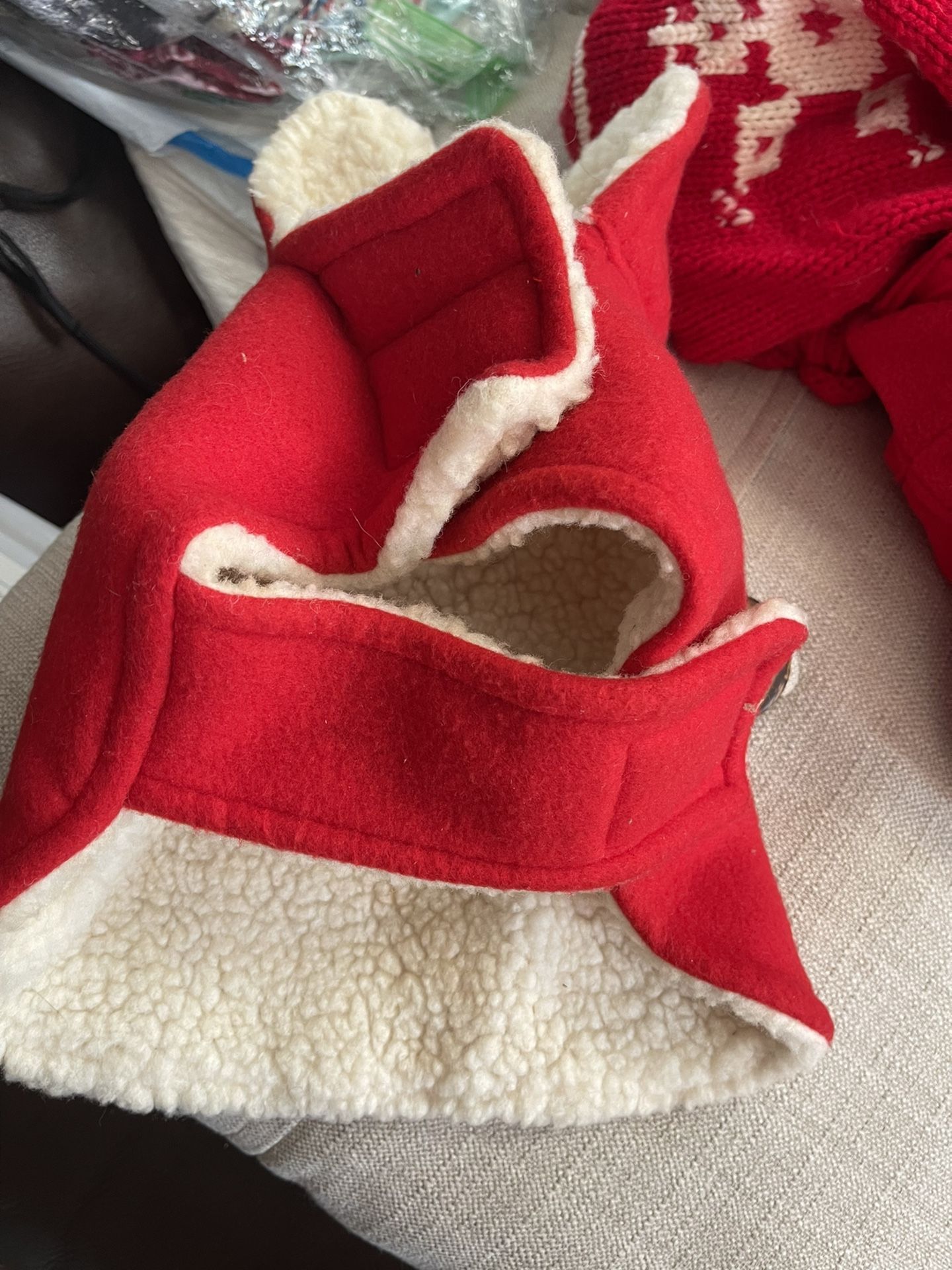 doggie jackets
