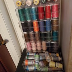 Serger Thread Lot 