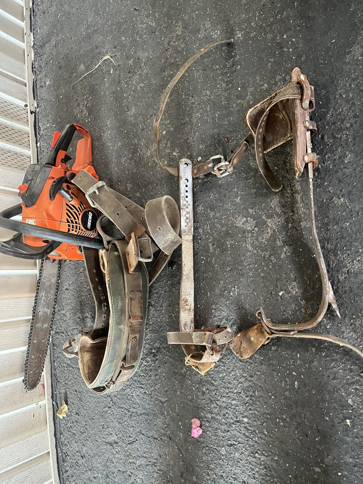 Echo Saw And Tree Climber