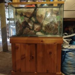 55 Gallon Fish Tank