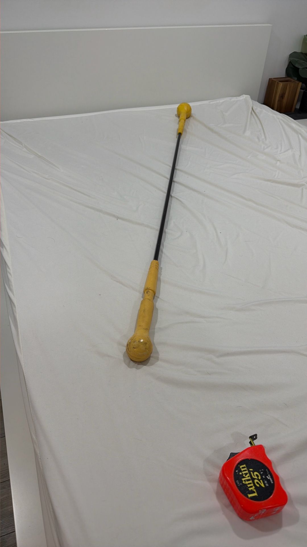 Easton Hit-N-Stick baseball swing training stick 63 In