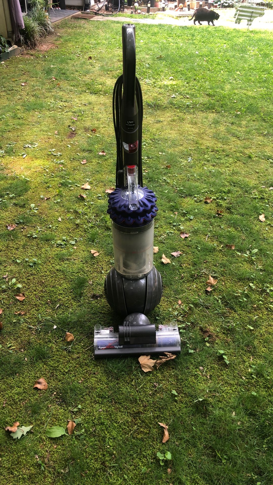 Dyson Vacuum