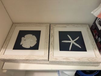 Coastal Framed Wall Art Set of 3