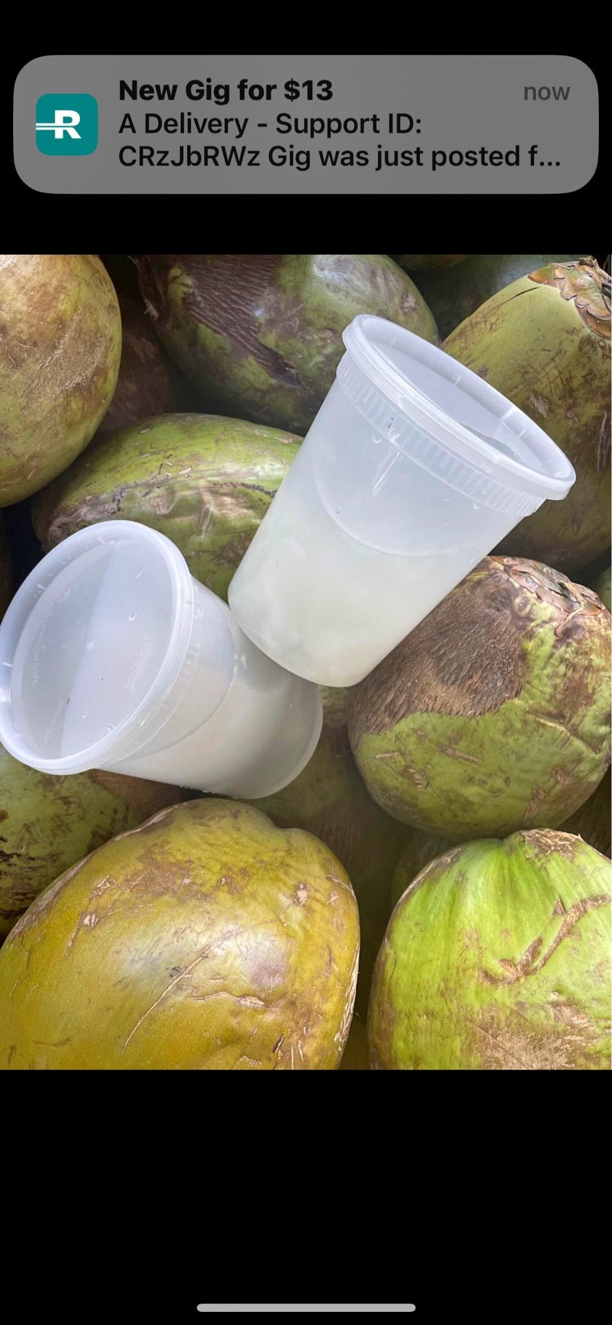 Coquito Aguitadecoco