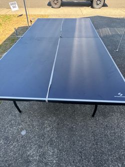 LTS Ping Pong Table