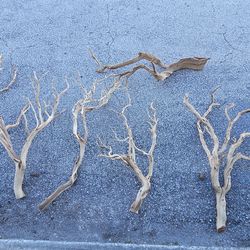 Aquarium Driftwood sale