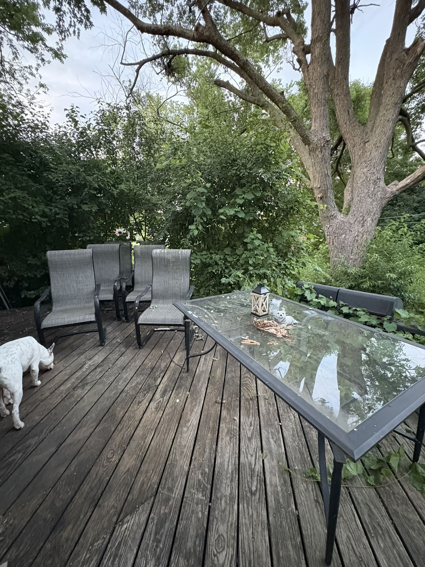 Patio furniture 6 Chairs and Umbrella