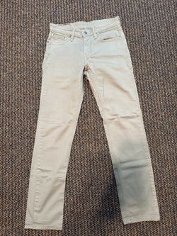 Levi’s 511 Light Green Slim Fit Chino Pants