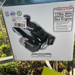 Vertical Shaft Motor 