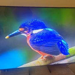 Samsung Smart Tv 65