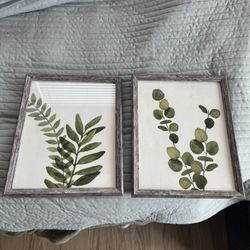 Plant Pictures