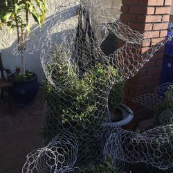 REGALLOS Topiarios -Borracha Animales -  GIFTS! Topiary Plants  Many Shapes ! Dolphins Bears Horses Mickey Minnie Mouse 
