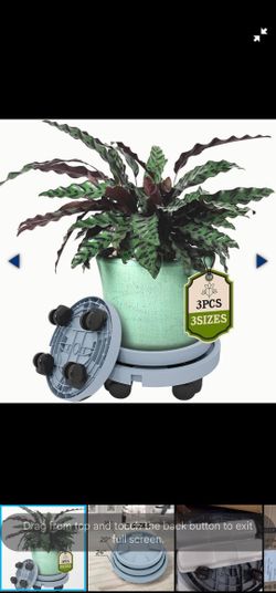 ELEOS PLANT CADDY 3-Caddy