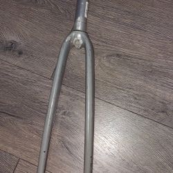 Carbon Fork