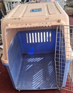 Dog Kennel