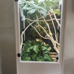 Chameleon Enclosure Terrarium DALE TAMURA CUSTOM TOP OF THE LINE Robotics Entire System Used For Only 1 Year Like New  