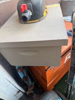 Bee vac