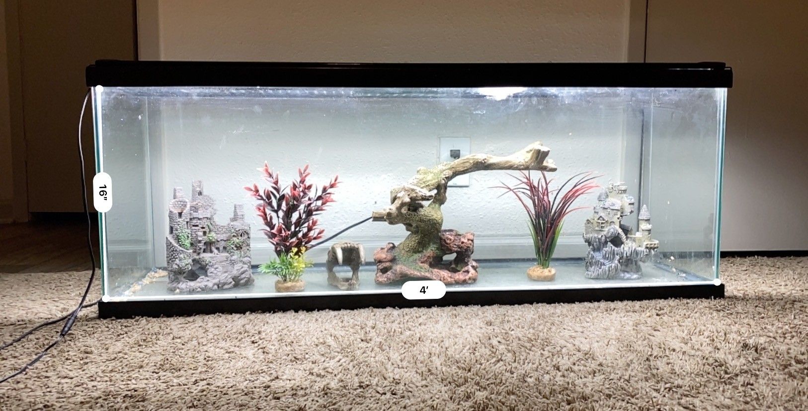 Fish Tank 