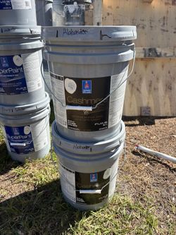 Paint Interior Egshel (Alabaster)