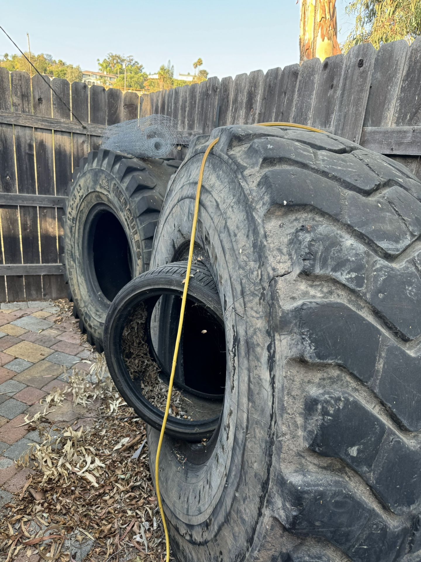 FREE Exercise Tires