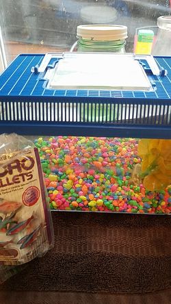 Betta fish tank, decorations and food