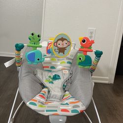 Baby Bouncer