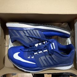 Nike Royal 10.5
