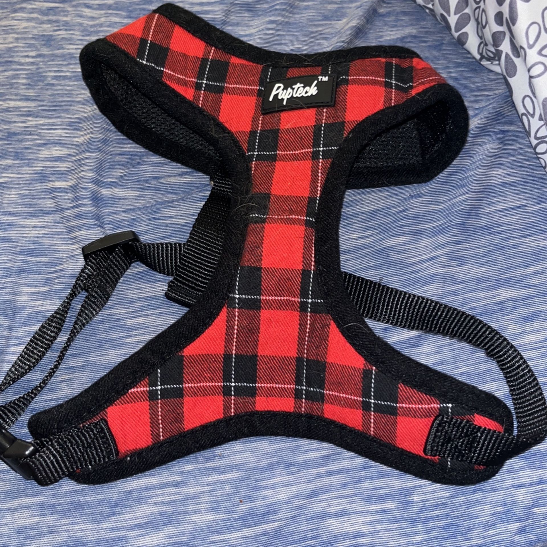 Dog Harness And leash