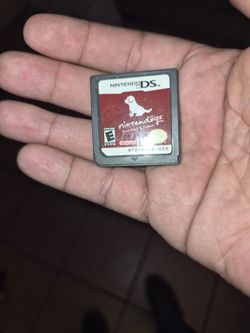 Nintendogs For Nintendo DS.