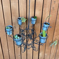 Plant Chandelier