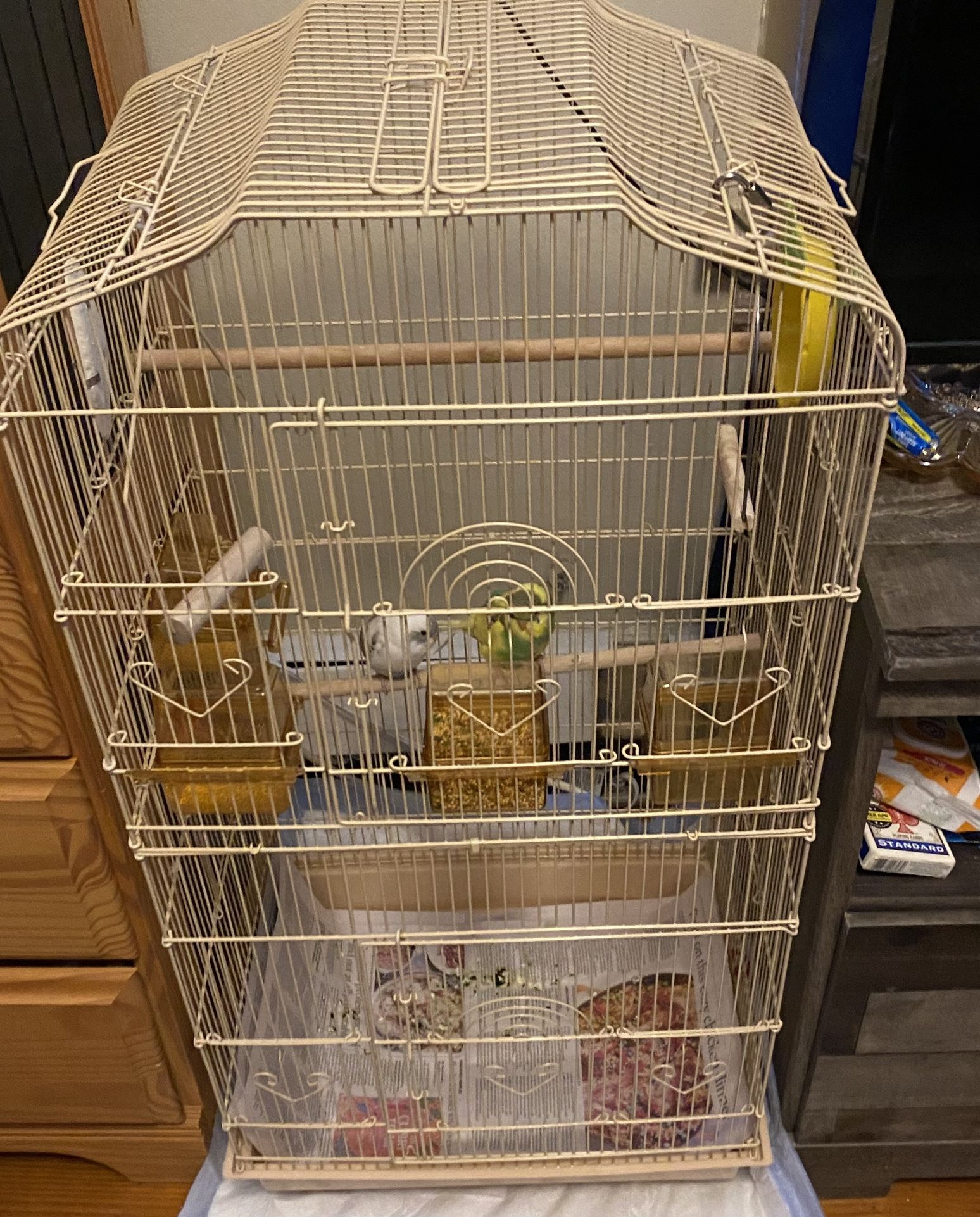 Bird Cage