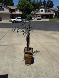 Faux Palm Plant in Decorative Pot