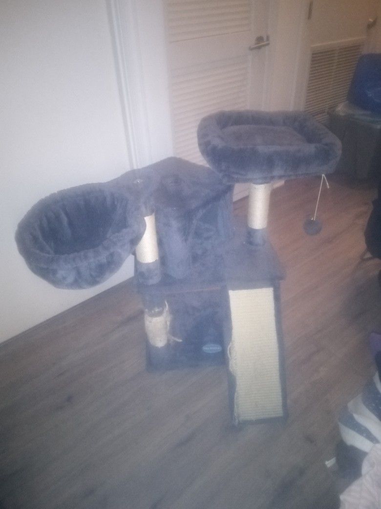 Cat Post