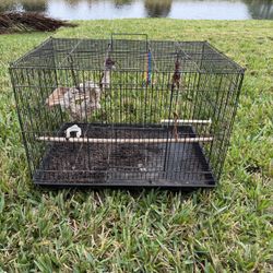23x16 Bird Cage 